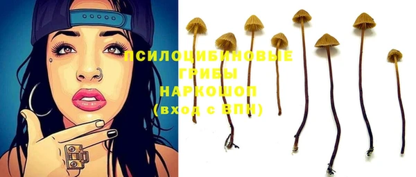 таблы Гусев