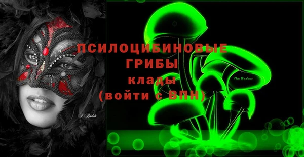 apvp Мегион