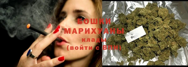 таблы Гусев