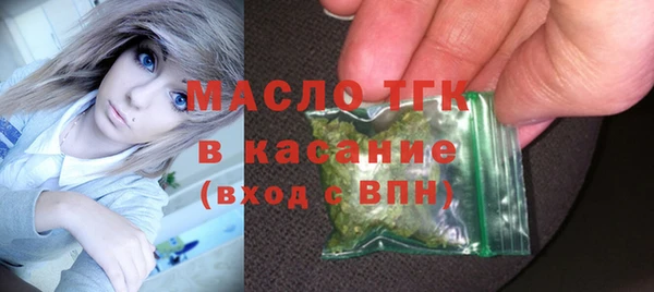 таблы Гусев