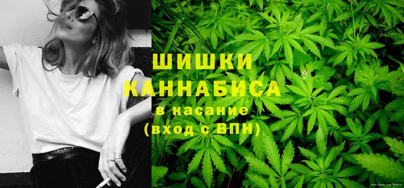 Конопля OG Kush  Давлеканово 